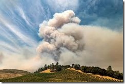 wildfires in wine country