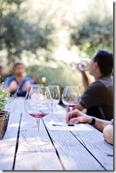 wine-tasting-1952074_960_720