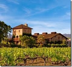 napa vineyard