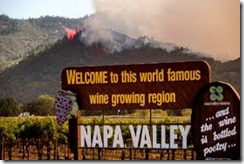 wildfires in vineyard