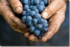 winemaking