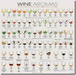 wine aromas