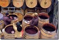 wine as living organism