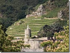 northern rhone