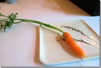 carrot