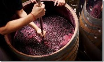 artisan winemaking 2