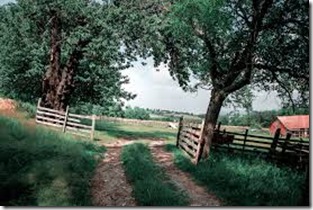 Commodified Nostalgia: When Heritage Becomes Product – Exploring the ...